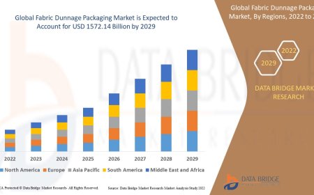 Fabric Dunnage Packaging Business Outlook: Developments and Outlook Forecast 2025 - 2032