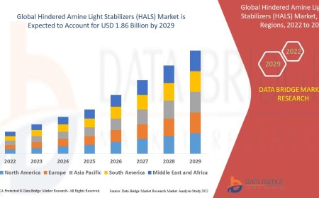 Hindered Amine Light Stabilizers (HALS) Business Outlook: Growth and Analysis by 2025 - 2032