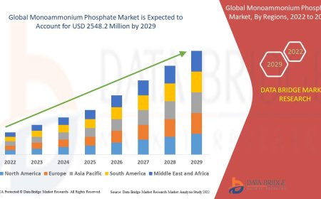 Monoammonium Phosphate Business Outlook: Growth and Analysis to 2025 - 2032