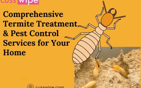 Comprehensive Termite Treatment & Pest Control Services for Your Home
