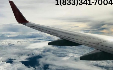 Qatar Airways Phone Number New York+1(833)341-7004.– Speak with a live agent at JFK Airport