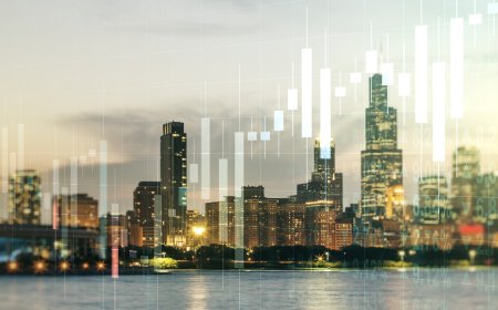 The Role of Saudi Arabia’s Capital Market Authority in Investment Regulations