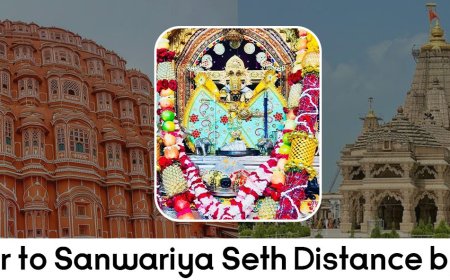 Jaipur to Sanwariya Seth Distance by Road