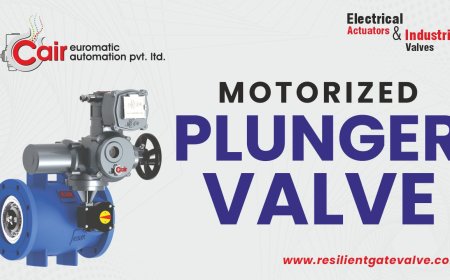 Industrial Plunger Valve Solutions from Ahmedabad, India