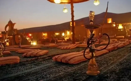 Desert Safari Buggy Tour and Dinner Experience in Dubai