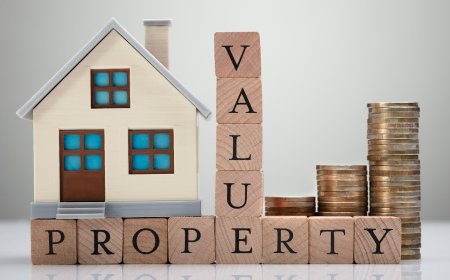 Online Tools vs. Professional Services: Which Gives a Better Property Valuation Estimate?