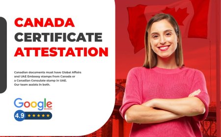 Seamless Canadian Certificate Attestation – Trust Benchmark to Do It Right