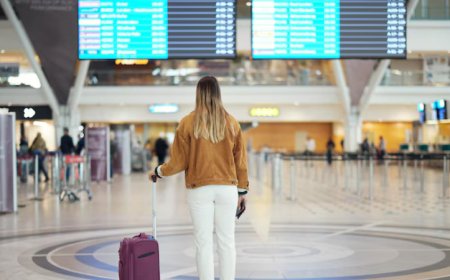 Delta Airlines Alliance: SkyTeam Partners And Travel Benefits