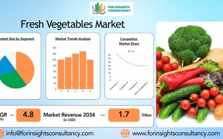 Fresh Vegetables Market - Locally Sourced, Organic Produce | Your One-Stop Shop