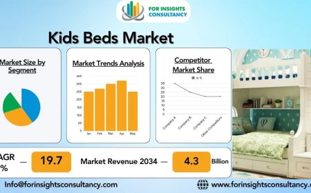 Explore the Best Kids Beds for Comfort and Style | Kids Beds Market