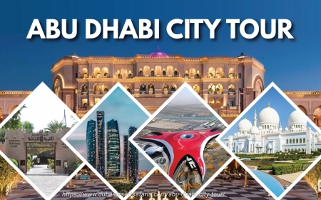 Ultimate Abu Dhabi City Tour: Unforgettable Sightseeing Experience