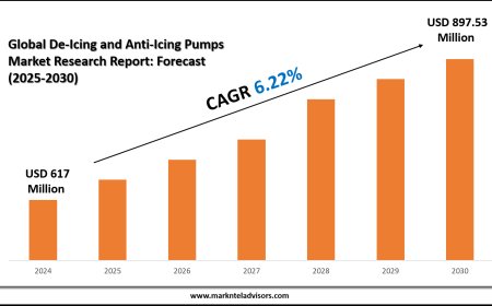 2025 Outlook: De-Icing and Anti-Icing Pumps Market Growth and Future Trends