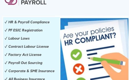Top 10 Payroll Consultant in Ahmedabad