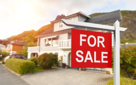 House for Sale Tips: What to Check Before You Skip Land for Sale Options