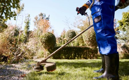 Landscaping & Backyard Cleaning Services Near You