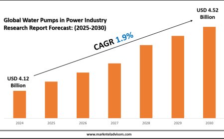 2025 Outlook: Water Pumps in Power Industry Market Growth and Future Trends