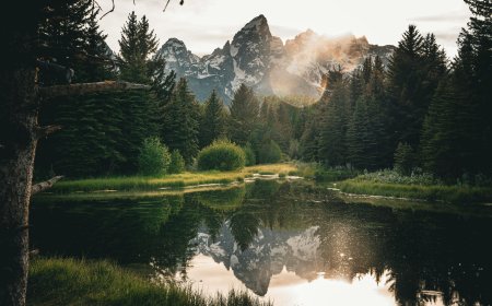 What Must You Discover On Manu Expeditions? - A Quick Guide