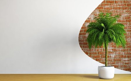 Transform Your Space with Stunning Wall Mural Wallpaper in Australia