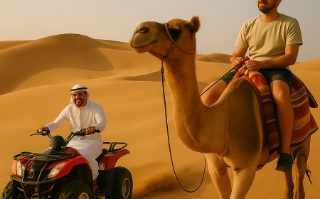 Experience the Best Morning Desert Safari Riyadh & Riyadh Desert Tours