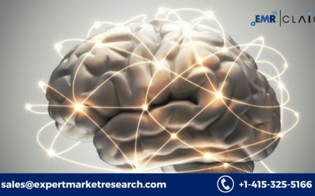 Artificial Intelligence (AI) in Precision Medicine Market: Trend Analysis and Future Outlook (2034)