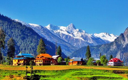 9 Benefits of Booking Through a Professional Tour Company