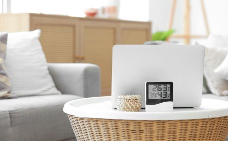 How Does a Whole House Dehumidifier Work?