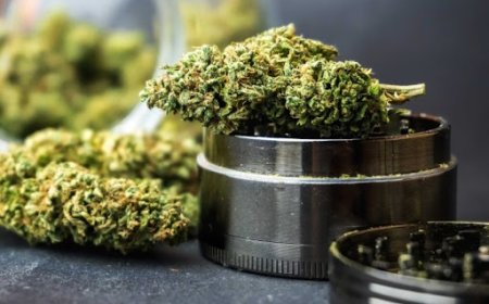 Why Is the Leading DC Dispensary Everyone’s Top Pick?