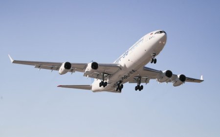 Talk to a Human for Refund Requests on Southwest or Frontier