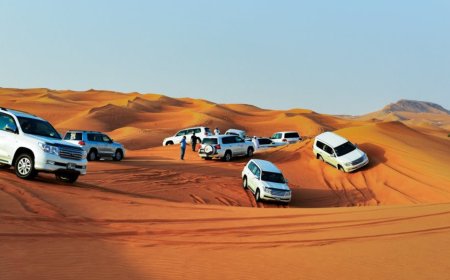 Experience a Premium Safari with Luxury Desert Tours