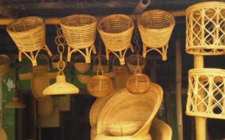 How to Plan Eco-Tourism in Sikkim