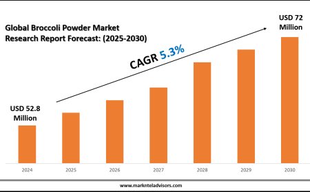 Broccoli Powder Market Overview with Growth Insights