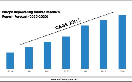 Europe Repowering Market Forecast, Segmentation and Key Insights