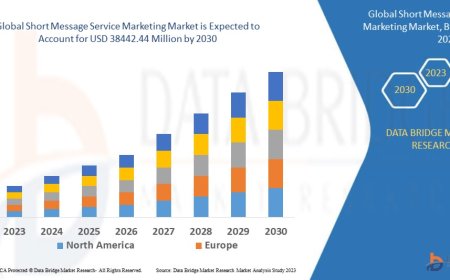 Short Message Service Industry: Outlook and Analysis 2025 - 2032