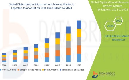 Digital Wound Measurement Devices Market: Forecast and Trends Period 2025 - 2032