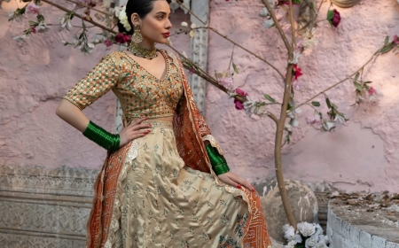 Your Dream Day, Your Perfect Look: A Friendly Guide to Pakistani Bridal Clothes