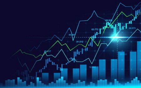 Understanding White Label Forex Costs : What to Expect in 2025