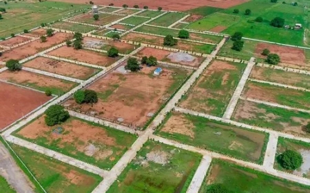 Faisal Town Phase 2 vs. DHA Gandhara: Which is Better for Long-Term Investment?