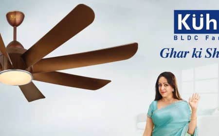 Decor Meets Comfort: How to Pick a Stylish Yet Quiet Ceiling Fan