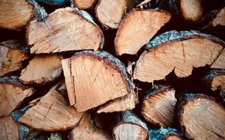 Köpa björkved med hemleverans i Stockholm – Så beställer du smart och klimatsmart ved till ditt hem