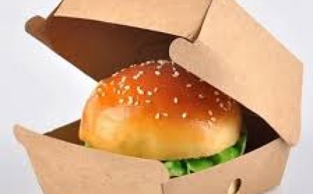 Guide to Burger Boxes: Packaging That Delivers Flavour and Freshness