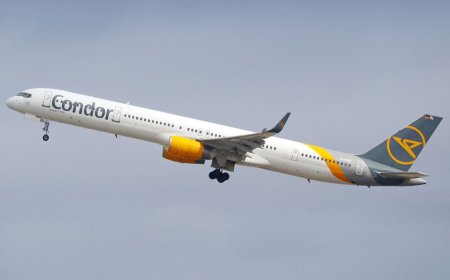 Request Special Meals or Assistance – Contact a Live Agent Now