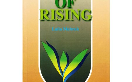 The Day Of Rising By Laila Mubarak