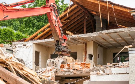 The Role of Professional Tree Services in Landscape Health and Safe Tree Removal