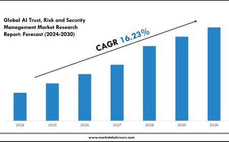 AI Trust, Risk and Security Management Market Overview with Growth Insights