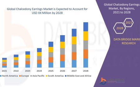 Chalcedony Earrings Market Analysis On Size and Industry Demand  2028
