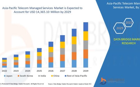 Asia-Pacific Telecom Managed Services Market Analysis On Size and Industry Demand  2029
