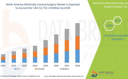 North America Minimally Invasive Market Analysis On Size and Industry Demand  2028