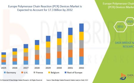 South East Asia Digital Map Market Analysis On Size and Industry Demand  2030