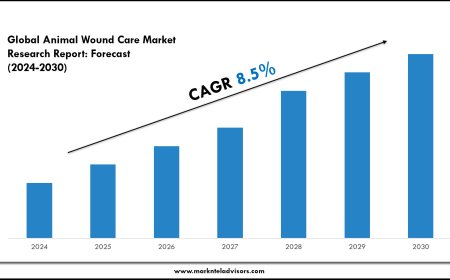 Latest Animal Wound Care Market Trends, Drivers and Opportunities