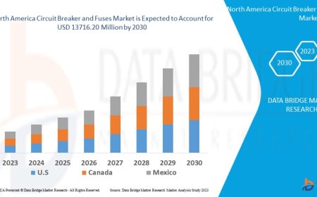 North America Circuit Breaker and Fuses Market Size, Status and Industry Outlook During 2030